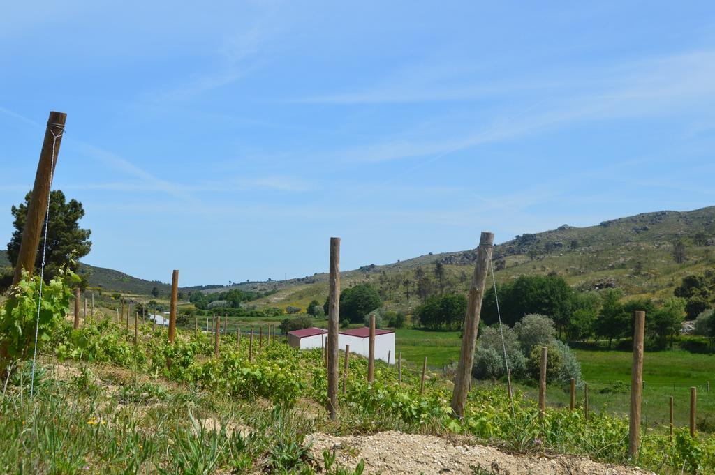 Quinta Vale Da Prata Villa Celorico Da Beira Eksteriør billede